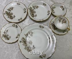 118 pcs Alhambra Bavaria Dinnerware Service for 16 by Margarete Brown/Pink Roses