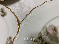 118 pcs Alhambra Bavaria Dinnerware Service for 16 by Margarete Brown/Pink Roses