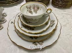 118 pcs Alhambra Bavaria Dinnerware Service for 16 by Margarete Brown/Pink Roses