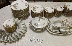 118 pcs Alhambra Bavaria Dinnerware Service for 16 by Margarete Brown/Pink Roses