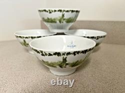 12 Green Toile Peter Rabbit Dinner Salad Bowl Plates World of Beatrix Potter NEW