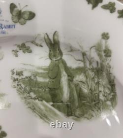 12 Green Toile Peter Rabbit Dinner Salad Bowl Plates World of Beatrix Potter NEW