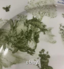 12 Green Toile Peter Rabbit Dinner Salad Bowl Plates World of Beatrix Potter NEW