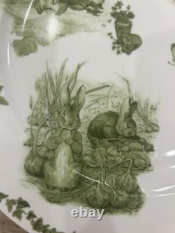 12 Green Toile Peter Rabbit Dinner Salad Bowl Plates World of Beatrix Potter NEW