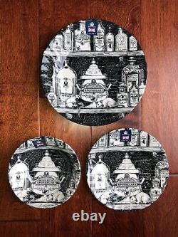 12pc ROYAL WESSEX Apothecary DINNERWARE SET Skull Witches Brew HALLOWEEN NWT