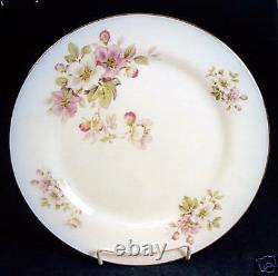 175-pcs (or Less) Of Tirschenreuth Pat. #246 Apple Blossom Bavarian Fine China