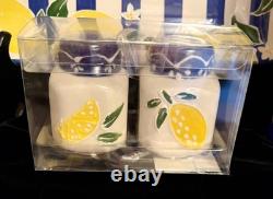 19 Pc Hobby Lobby Blue/white Striped Lemondish Setservice For 4platternew