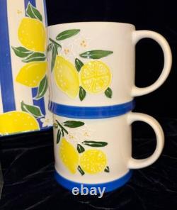 19 Pc Hobby Lobby Blue/white Striped Lemondish Setservice For 4platternew