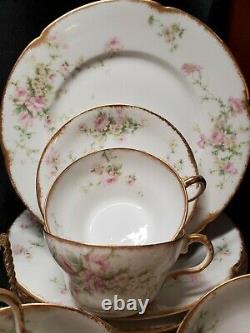 1900's Theodore Haviland Limoges For Wanamaker Dinnerware Place Setting For 9