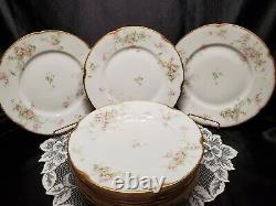 1900's Theodore Haviland Limoges For Wanamaker Dinnerware Place Setting For 9