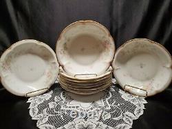 1900's Theodore Haviland Limoges For Wanamaker Dinnerware Place Setting For 9