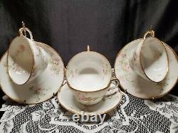 1900's Theodore Haviland Limoges For Wanamaker Dinnerware Place Setting For 9