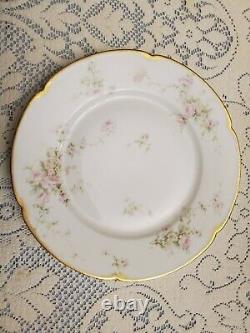 1900's Theodore Haviland Limoges For Wanamaker Dinnerware Place Setting For 9