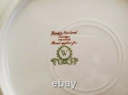 1900's Theodore Haviland Limoges For Wanamaker Dinnerware Place Setting For 9