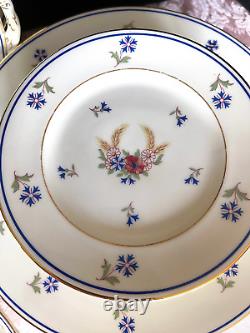 1950's CORONADO Cornflowers Dinnerware Set, H&C Hass and Czjzek, Bohemia