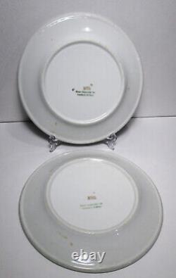 2 Buffalo China Southern Railway Peach Blossom Dinner Plates 9 1/4 Railroad RR