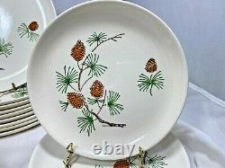 40 piece set Vintage PINE by Stetson Ovenproof Dinnerware, Hand-Painted, MCM