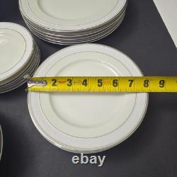 42 Pcs Sone China Dinnerware Set 6 Place Elegant Embossed Rose Design Mars 3301