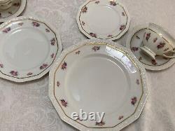 62pc Rosenthal MARIA FLORAL RIM #2167 DINNERWARE Roses 12 Place Sets ++Vintage