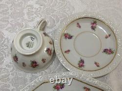 62pc Rosenthal MARIA FLORAL RIM #2167 DINNERWARE Roses 12 Place Sets ++Vintage