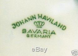 67 Pcs (or Less) Johann Haviland Michele Pat. Bavarian China Circa 1950