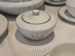 67pc Max Schonfeld Platinum Wheat Fine China Dinner Set Made in Japan Dinnerware