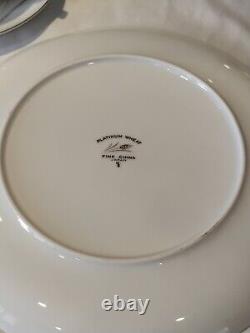 67pc Max Schonfeld Platinum Wheat Fine China Dinner Set Made in Japan Dinnerware