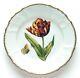 ANNA WEATHERLEY porcelain OLD MASTER TULIPS salad plate list $300 NEW