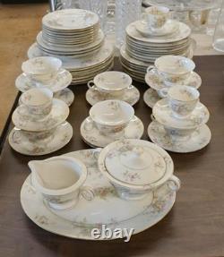 APPLE BLOSSOM by THEODORE HAVILAND (NewYork) 61 Piece Dinner Set EUC/MINT WOW