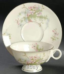 APPLE BLOSSOM by THEODORE HAVILAND (NewYork) 61 Piece Dinner Set EUC/MINT WOW