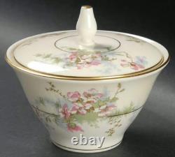 APPLE BLOSSOM by THEODORE HAVILAND (NewYork) 61 Piece Dinner Set EUC/MINT WOW