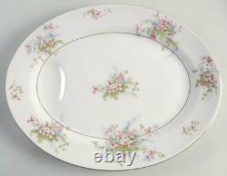 APPLE BLOSSOM by THEODORE HAVILAND (NewYork) 61 Piece Dinner Set EUC/MINT WOW