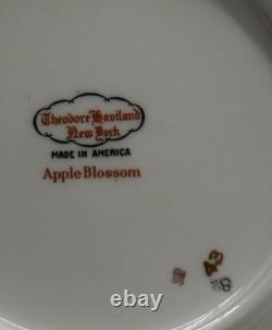 APPLE BLOSSOM by THEODORE HAVILAND (NewYork) 61 Piece Dinner Set EUC/MINT WOW