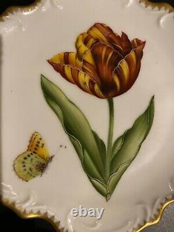 Anna Weatherley Porcelain China - Rare Hand Painted Old Master Tulips Pattern