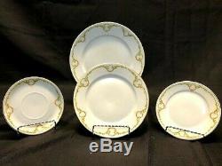 Antique 30 Piece Rosenthal Bone China Donatello Briar Rose Dinnerware Set