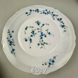 Arcopal Durand France Veronica 16-Piece Dinnerware Set Blue Floral Scalloped NEW