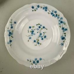 Arcopal Durand France Veronica 16-Piece Dinnerware Set Blue Floral Scalloped NEW