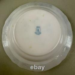 Arcopal Durand France Veronica 16-Piece Dinnerware Set Blue Floral Scalloped NEW