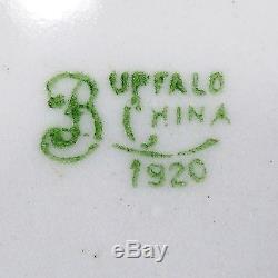 Buffalo China 1920 Antique Porcelain Dinnerware Set Service for 12 USA 102 Pcs