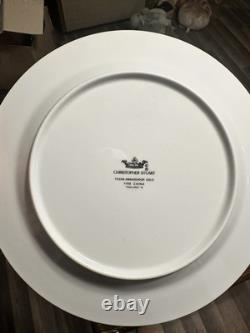Christopher Stuart Ambassador White Gold Trim Fine China 47 Pc Dinner Set