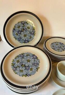 Designer's Collection Farmhouse Stoneware Blue Shasta Dinnerware Japan 40 Pcs