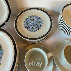 Designer's Collection Farmhouse Stoneware Blue Shasta Dinnerware Japan 40 Pcs