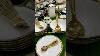 Dining Set In Combination Of White And Golden With Golden Spoon Set Luxury Crockery Wholesale Market