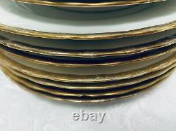 Elite Works Limoges Dinnerware Set 49 pc Antique Gold Ruffled Band Service for 7