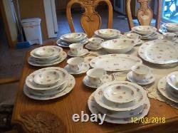 F & B Baronet Bohemia China Spring Floral Design 90 Piece Dinnerware Grouping