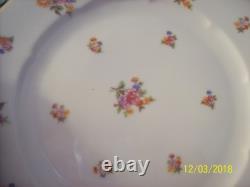 F & B Baronet Bohemia China Spring Floral Design 90 Piece Dinnerware Grouping