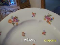 F & B Baronet Bohemia China Spring Floral Design 90 Piece Dinnerware Grouping