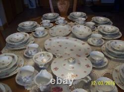 F & B Baronet Bohemia China Spring Floral Design 90 Piece Dinnerware Grouping