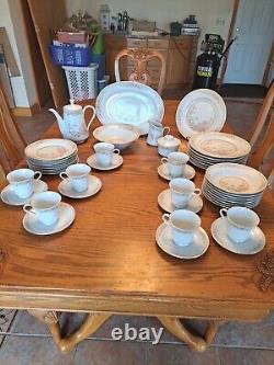 Fairfield Porcelain Dinnerware Pattern Symphony Butterfly Floral 45 Pieces