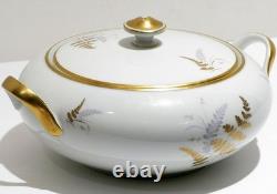 Fine China Service Set for 12 Gold Fern Hutschenreuther Bavaria Ferndale 75 Pcs